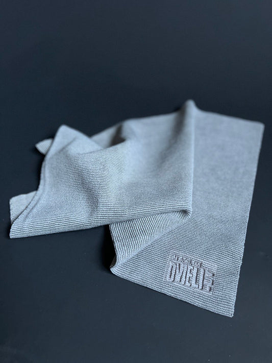 Mikrošķiedras lupatiņa spoguļiem, logiem 30x40 cm, 2gab.